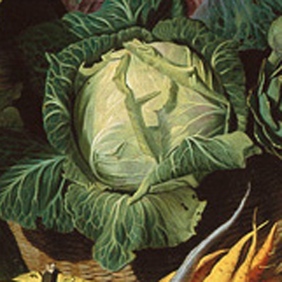 180714 – Cabbage Revolutionary - London
